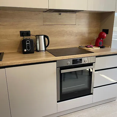 Centru Apartment *